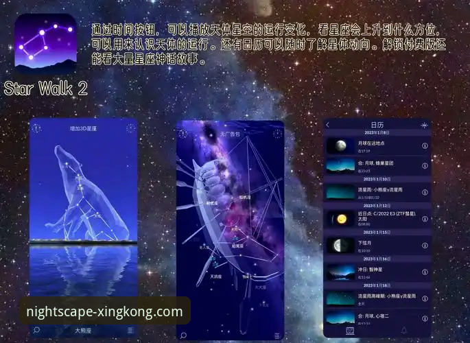 星空中国应用下载 星空娱乐平台官方应用下载与使用完整指南